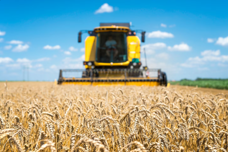 Файл:Screenshot 31cqw3.png