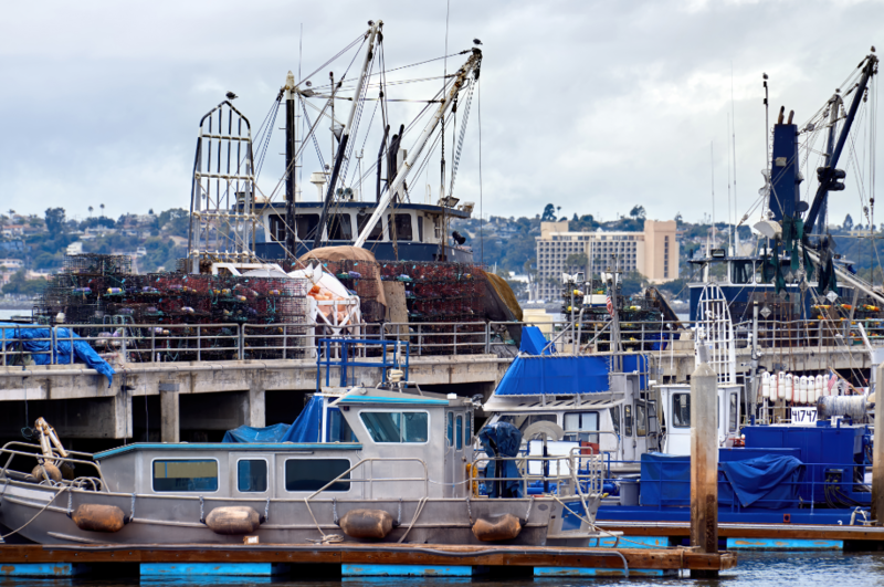 Файл:2026-02-06 10-46-12.png