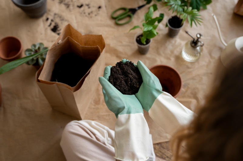 Файл:2026-02-06 10-31-10.png