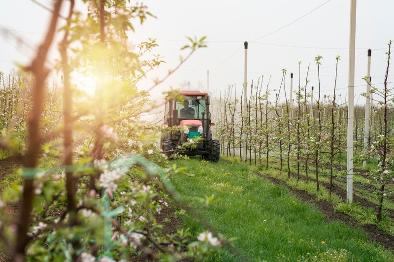 Файл:Photo 5474322082797059350 y.jpg